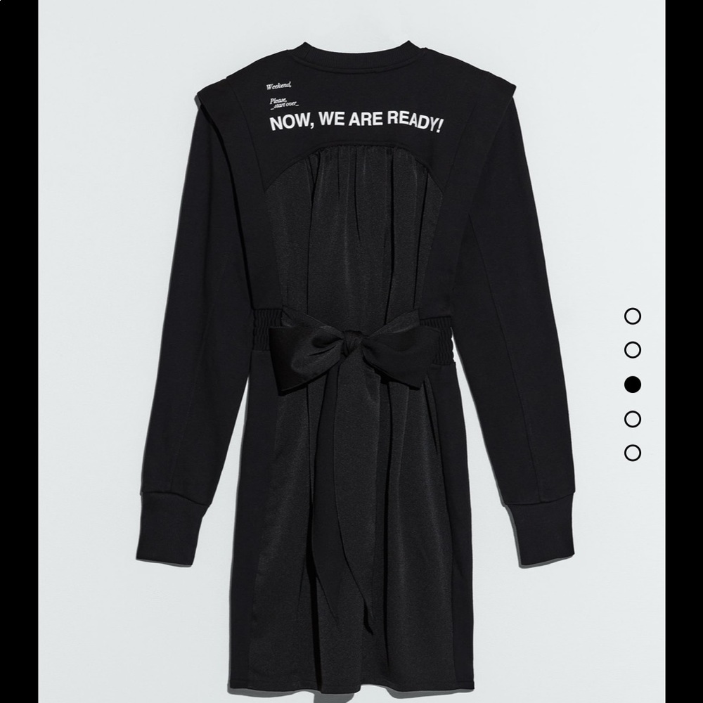 Zara dress